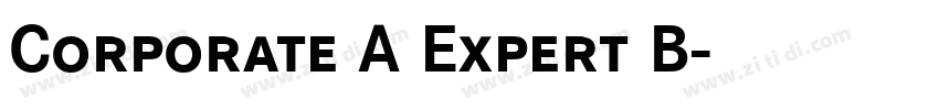 Corporate A Expert B字体转换